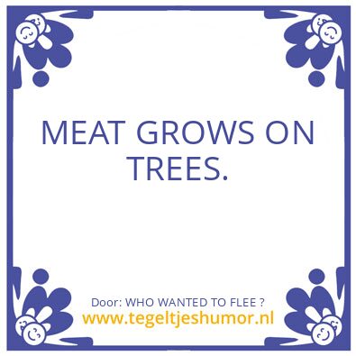 Tegeltje: WHO WANTED TO FLEE ?
