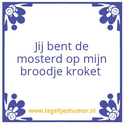 Tegeltje: Voor Joost