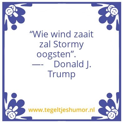 Tegeltje: Wind storm