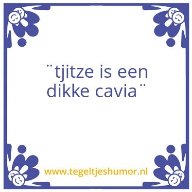 Tegeltje: tjitze is dik