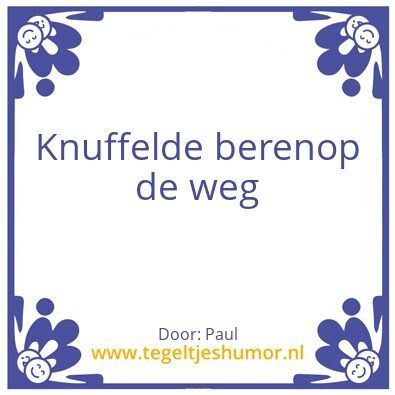 Tegeltje: Knuffelberen