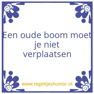 Tegeltje: Oude boom