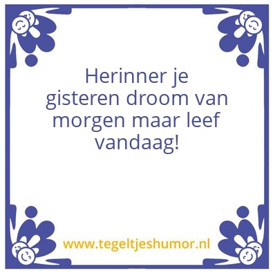Tegeltje: Herrinner en droom