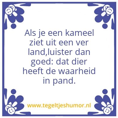 Tegeltje: Kameel