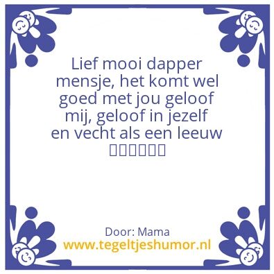 Tegeltje: Voor romana