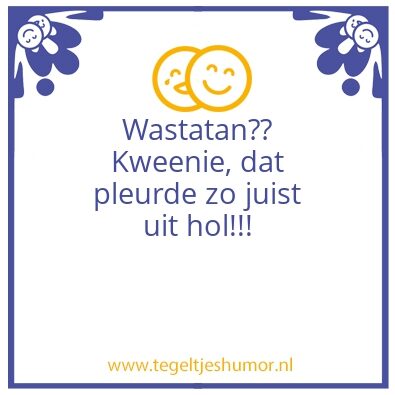 Tegeltje: Op ze Rotterdams