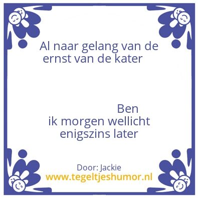 Tegeltje: Kater