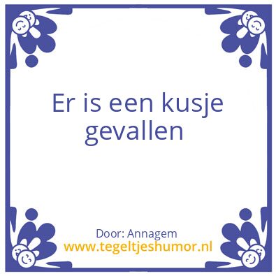 Tegeltje: Bullshit
