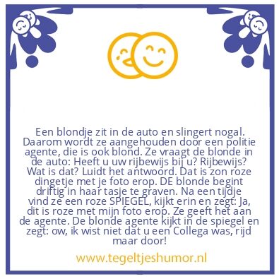 Tegeltje: Dom blondje