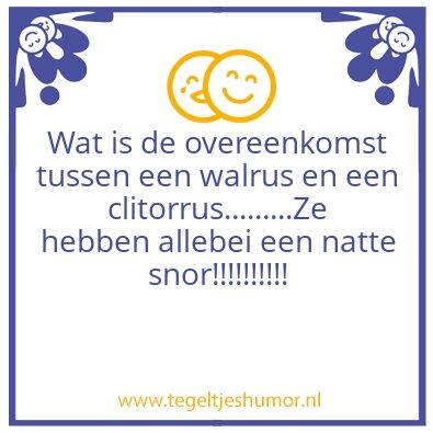 Tegeltje: Natte walrus