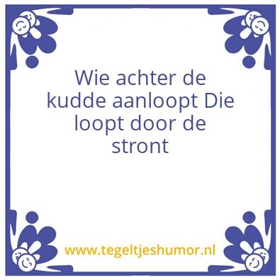 Tegeltje: Wilco