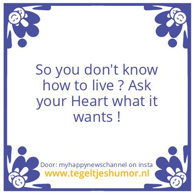 Tegeltje: You don’t know how to live ?