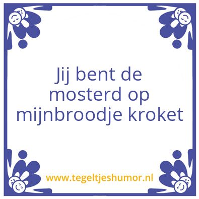 Tegeltje: Voor Joost