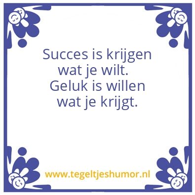 Tegeltje: Succes