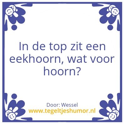 Tegeltje: Hoorn