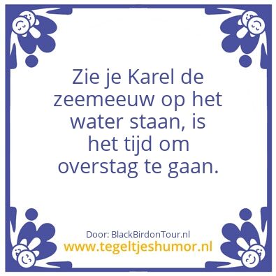 Tegeltje: Kareldezeemeeuw