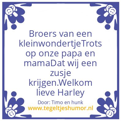 Tegeltje: Timo en hunk