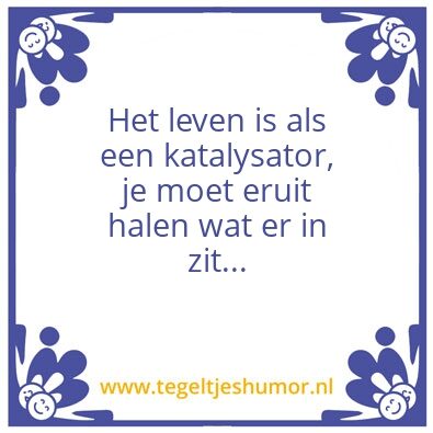 Tegeltje: Katalysator