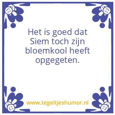 Tegeltje: Het is goed dat Siem toch zijn
