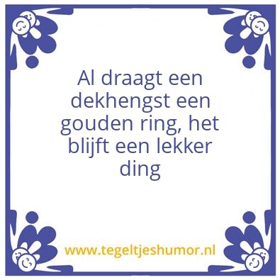 Tegeltje: Dong
