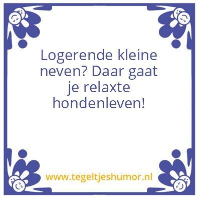 Tegeltje: Relaxte hondenleven