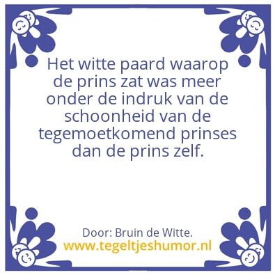 Tegeltje: De prins op het â€¦
