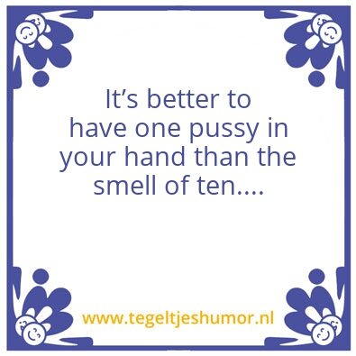 Tegeltje: Wisdom