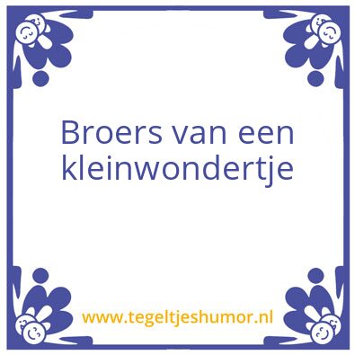 Tegeltje: Timo en hunk