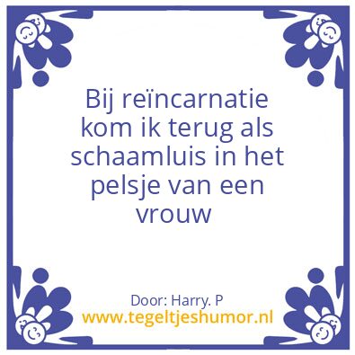 Tegeltje: Bij reïncarnatie