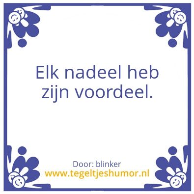 Tegeltje: nadeel