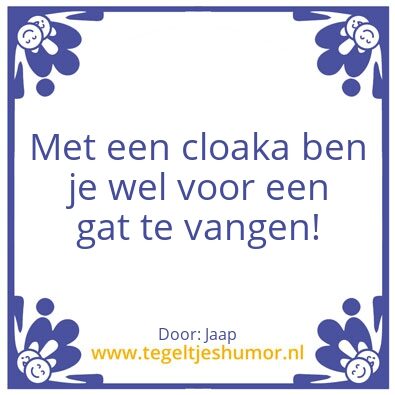 Tegeltje: Cloaca