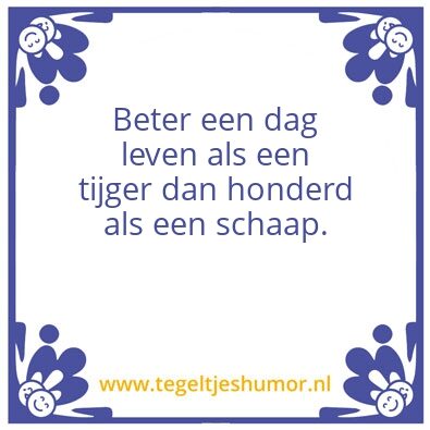 Tegeltje: schapen