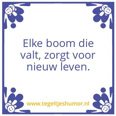 Tegeltje: Gevallen bomen