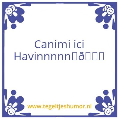 Tegeltje: Havin