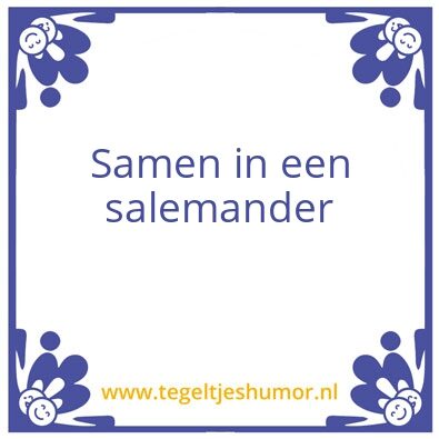 Tegeltje: Gek