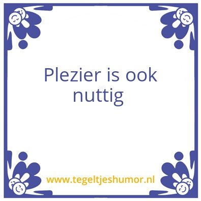 Tegeltje: Plezier