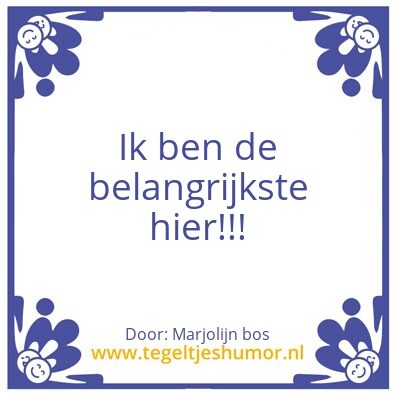 Tegeltje: Mentor