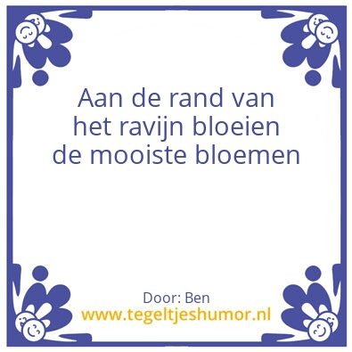 Tegeltje: Ravijn