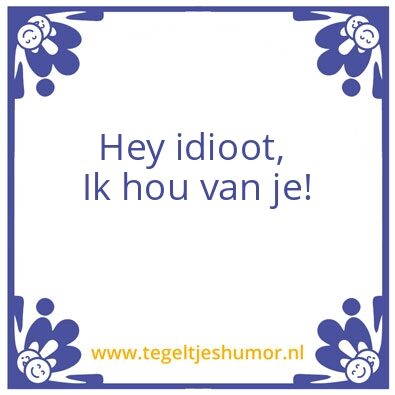 Tegeltje: Idioot
