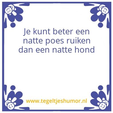 Tegeltje: Natte poes
