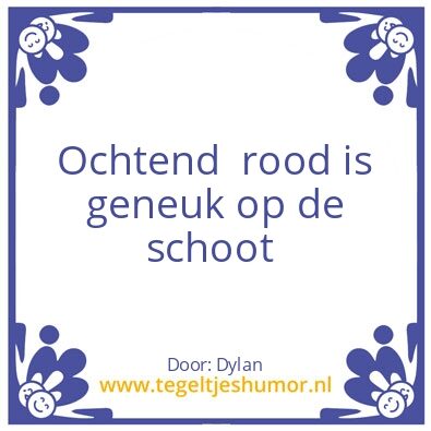 Tegeltje: Dylan