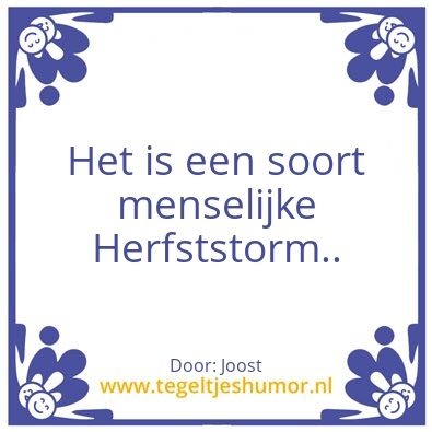Tegeltje: Joost rules