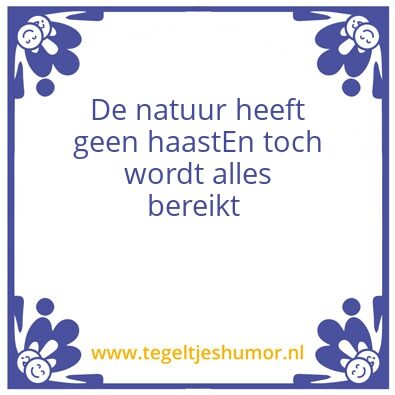 Tegeltje: Karin
