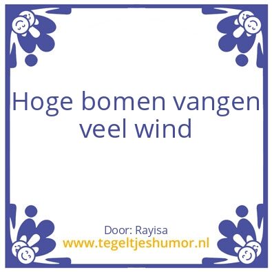 Tegeltje: succes