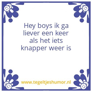 Tegeltje: Joost leek