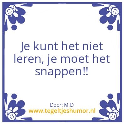 Tegeltje: Snappen