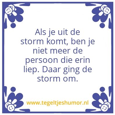 Tegeltje: Storm !