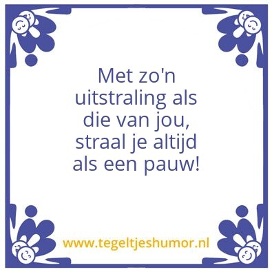 Tegeltje: Merlijn
