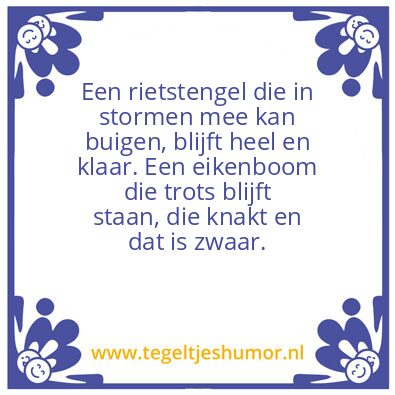 Tegeltje: Voor de belegger: