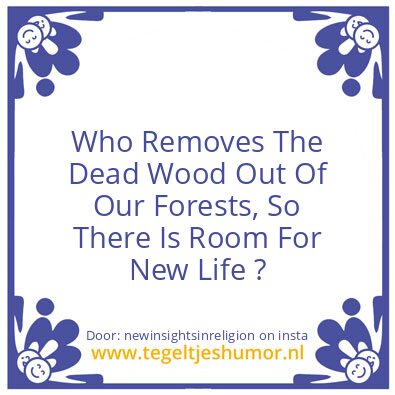 Tegeltje: Now You Know
